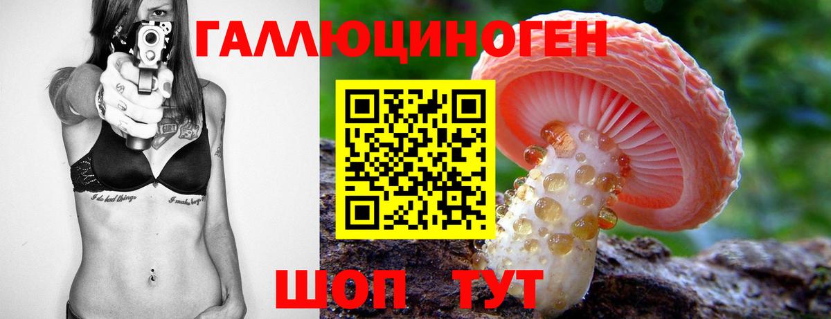 Псилоцибиновые грибы прущие грибы Коркино