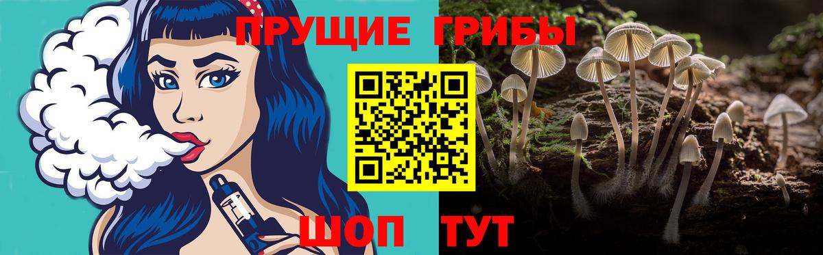 ГАШИШ Коркино