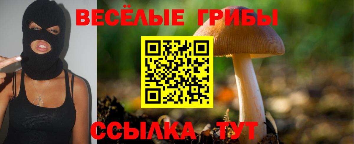 Галлюциногенные грибы MAGIC MUSHROOMS  Вход с VPN  Псилоцибиновые грибы мухоморы  Коркино 